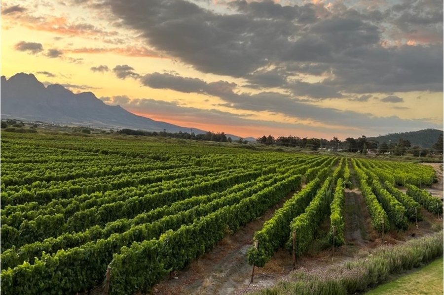 0 Bedroom Property for Sale in Franschhoek Rural Western Cape